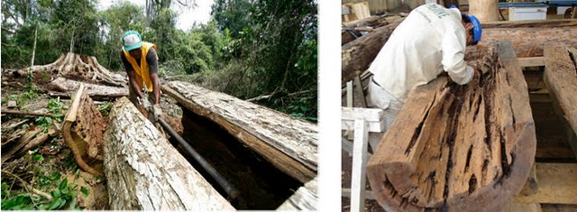 nábytok z masívneho dreva rotsen nábytok z USA výroba