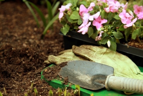 záhradnícky jar kontrolný zoznam záhradník nová posteľ záhradný jarný kontrolný zoznam pre záhradkárov nová posteľ