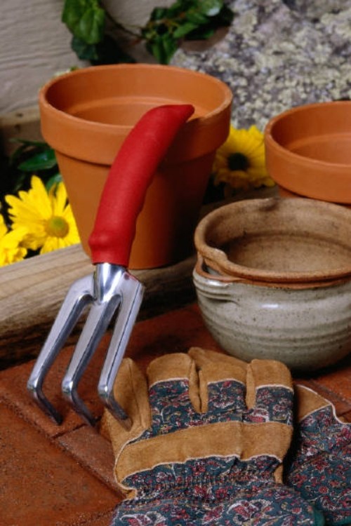 záhradnícky jar kontrolný zoznam záhradník záhradníctvo záhradný jarný kontrolný zoznam pre záhradkárov záhradníctvo