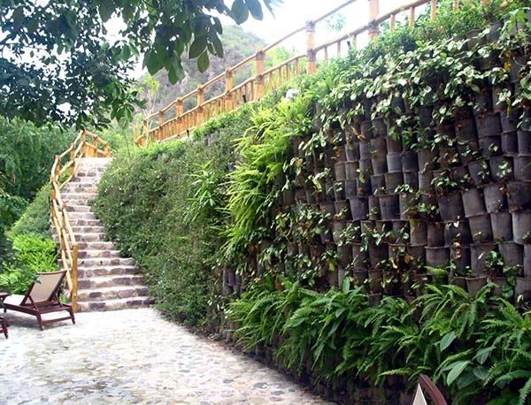 Objednané kvetináče vertikálna záhrada ako architektonický prvok