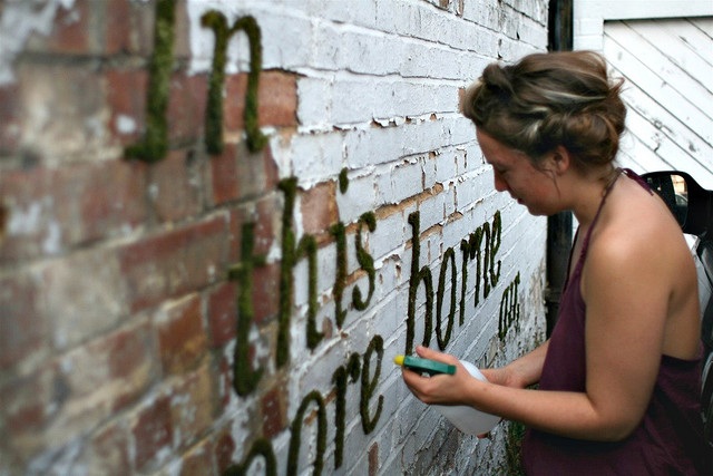 mach graffiti anna garforth mossenger báseň machové graffiti projekty anna garforth mossenger poem line