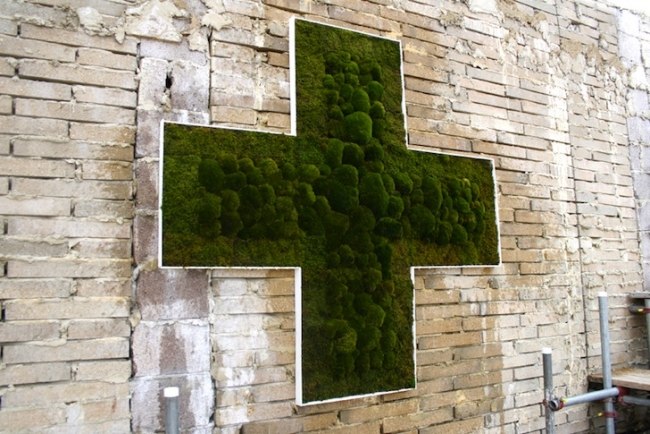 Umelkyňa Moss Cross Anna Galforth podporuje umenie Moss Cross Anna Galforth podpora prírody umenie