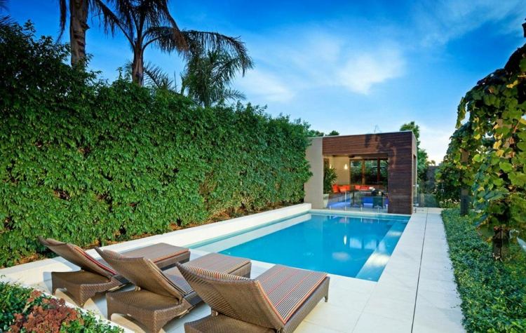 živý plot v záhradnom bazéne ležadlo moderný nápad na ochranu súkromia