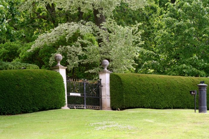 plot živý plot tvar brána kovový majetok predný dvor