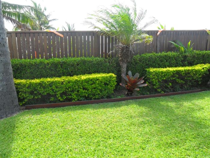 kombinácia živých plotov nízka palmová ohrada obrazovka na ochranu osobných údajov