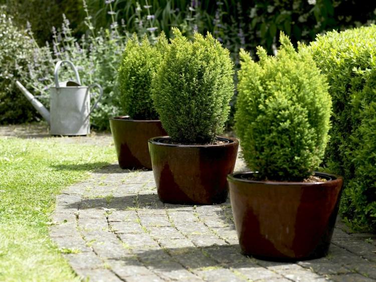 živý plot v záhrade kvetináč-hnedo-lesk-dizajn-inšpirácia