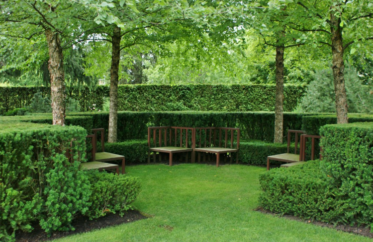 živý plot v záhrade-sedenie-drevená lavička-romantický-plot-alternatíva