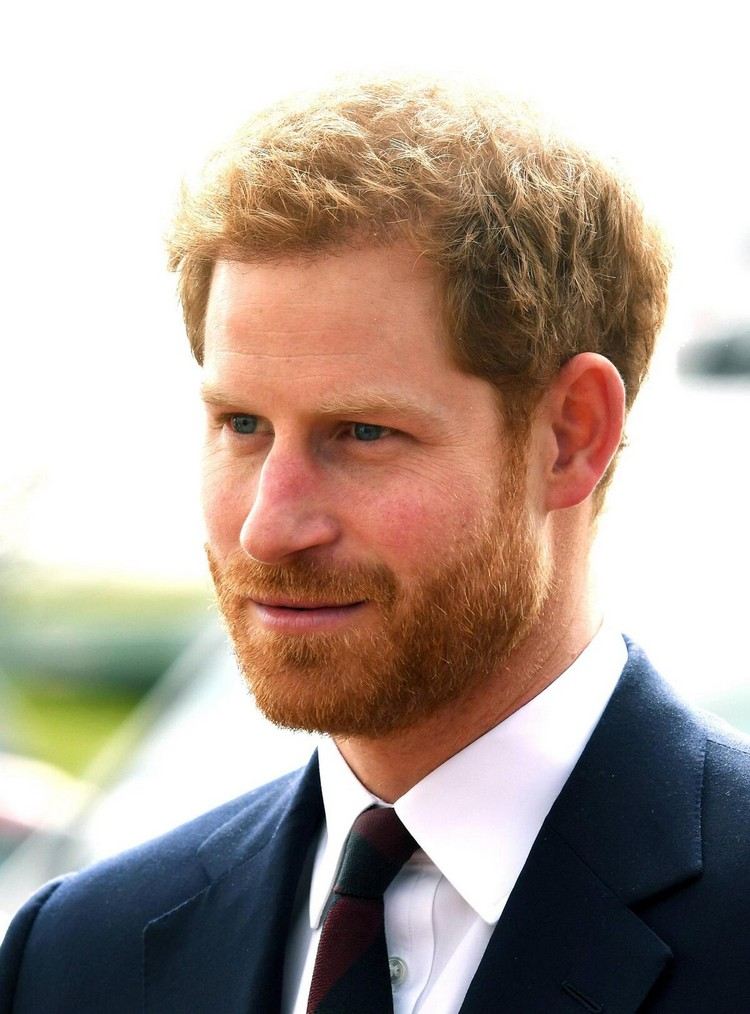 Princ Harry so svojimi štýlovými medenými vlasmi