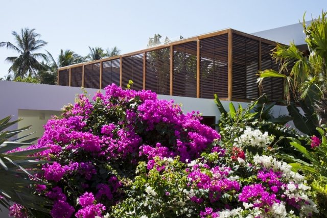 prázdninová vila exteriér rododendronová záhrada