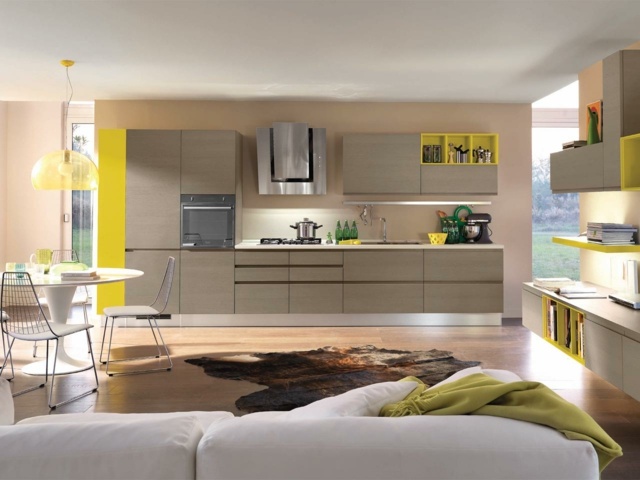 Pultové vstavané spotrebiče sú jednoducho elegantné nerezové držadlá