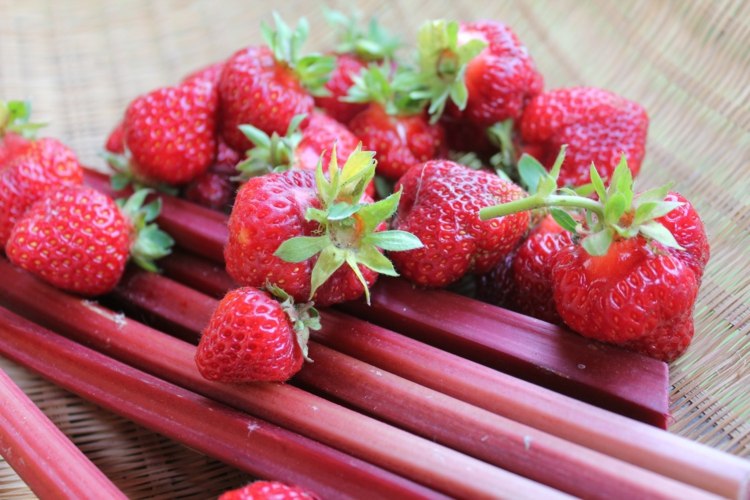 Rebarborová sezóna s čerstvými jahodami Jahodový rebarborový koláč