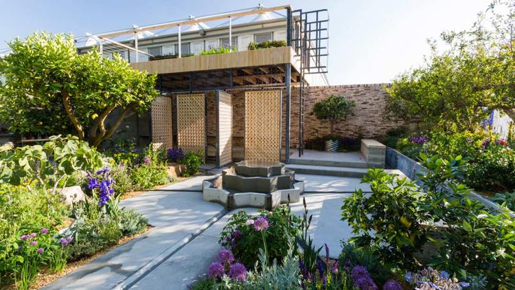 Okrasná cibuľová voda s citrónovou vodou a fontánovým potokom