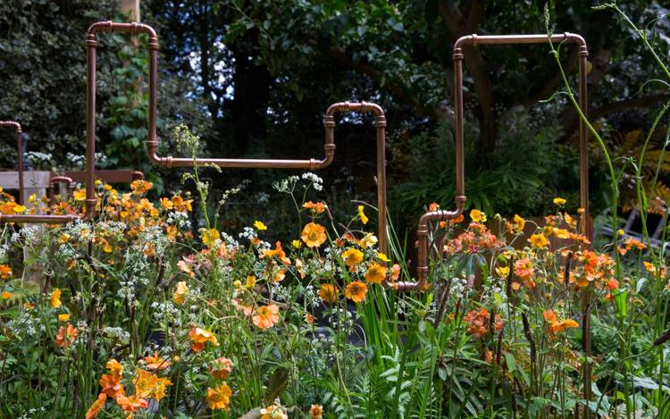 oranžové kvitnúce trvalky vodný prvok sochárstvo vodných fajok