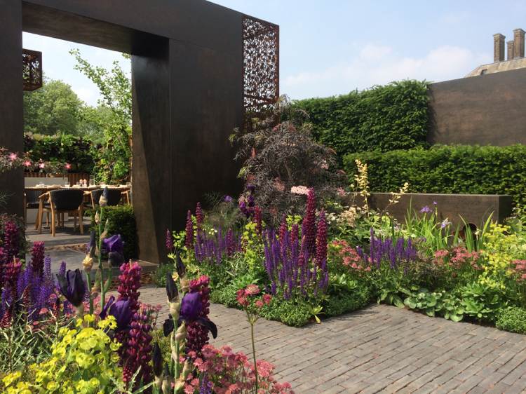 Chodníkové dlažobné kocky purpurovo kvitnúce trvalky kosatec lupínový