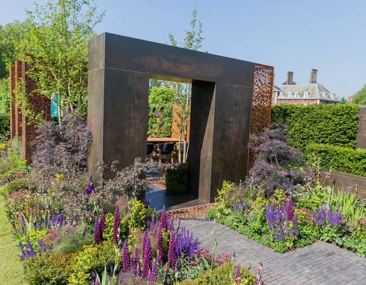 purpurovo kvitnúce lupiny purpurové trvalky Japonská javorová corten oceľová brána