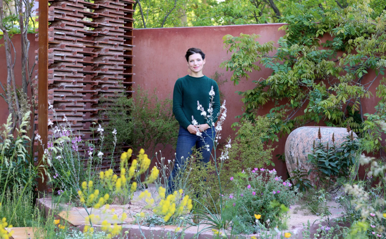 Stredomorské záhradné rastliny pre plné farby slnka a zeme