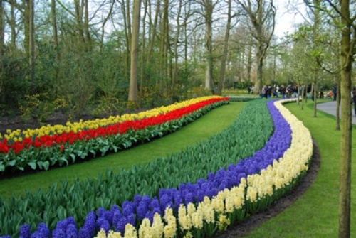 prázdninové destinácie na jar v Holandsku pruhy modro -biele