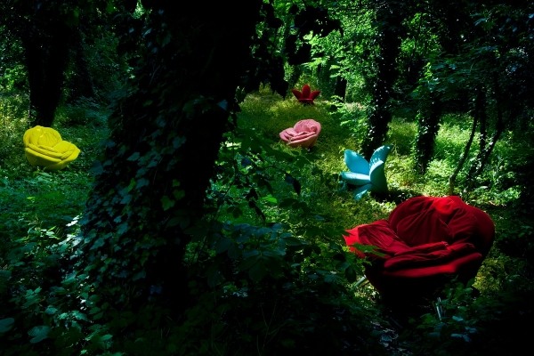 kreslo ruže design line edra v lese