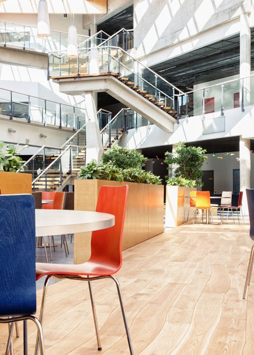 drevená podlaha bolefloor masívne drevo verejné budovy