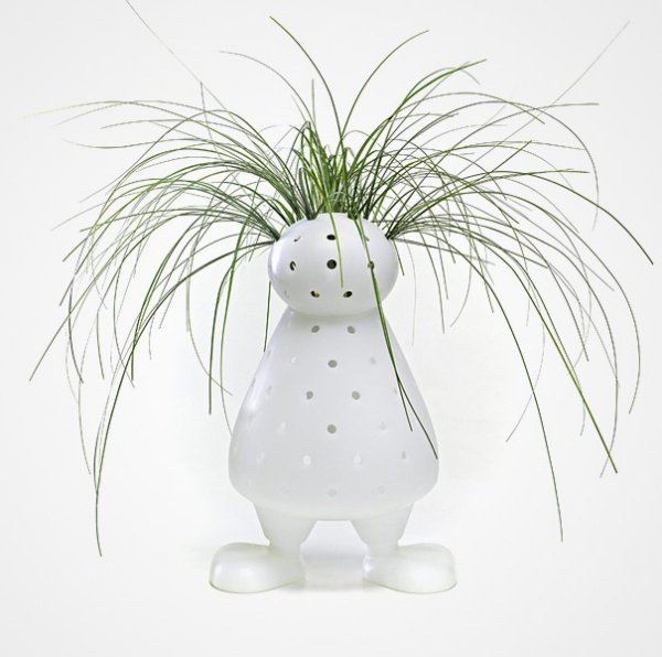 nápad pre milovníkov kvetov dizajnér váza muž