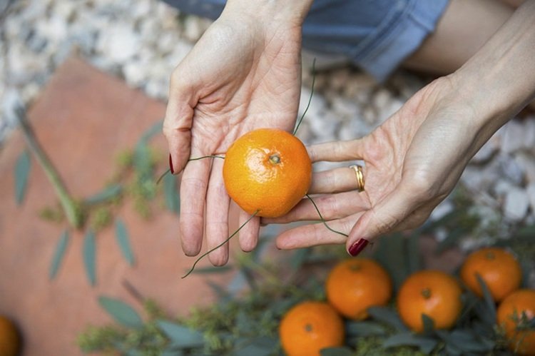 Vianočný veniec z eukalyptového drôtu, ozdoba citrusových plodov