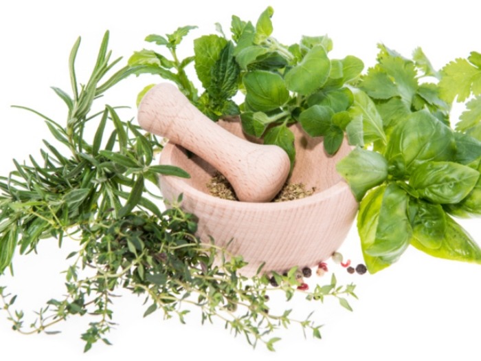 DIY maska na tvár s listami skorocelu, jahôd, ríbezlí, rebríčka a lipy DIY-maska-tvár-čerstvé-plantain-listy-jahody-ríbezle-rebríček-lipové kvety