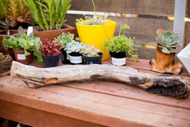 dekor s naplaveným drevom vyberajte starostlivo krásne