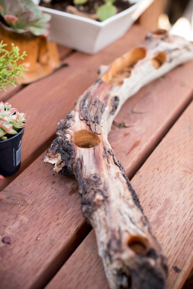 Vytvorenie diery Vkladanie sukulentov ich nekomplikuje