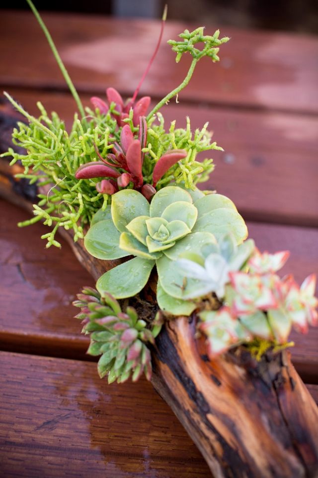 ozdobte naplaveným drevom a vneste doň čerstvú prírodu