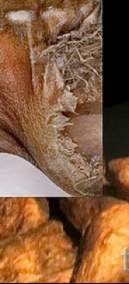 Ősi tetoválás - egy múmia maradványai