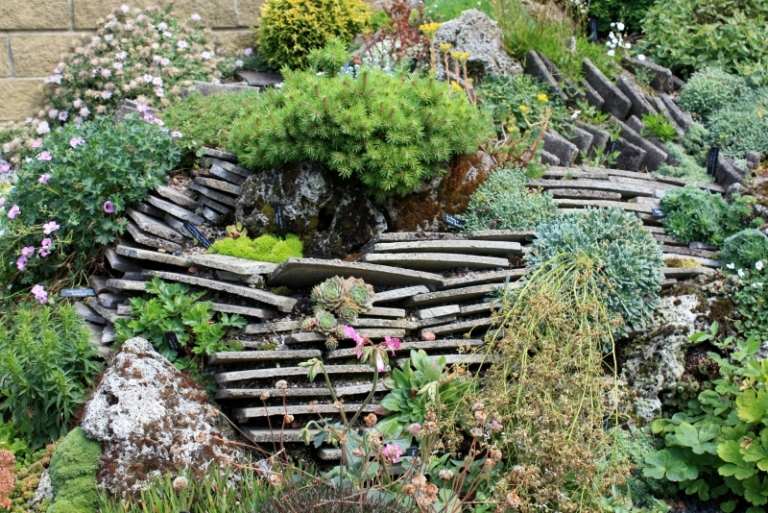 Vysaďte skalku s bylinkami, ako je tymián Voňavé rastliny-záhradný dizajn-bylinky-tymian