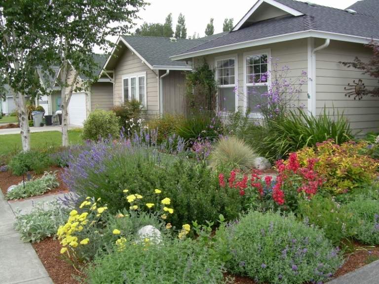 Vôňa sa uvoľňuje aj pri slabom vetre Voňavé rastliny-záhrada-Levkojen-Matthiola-bicornis