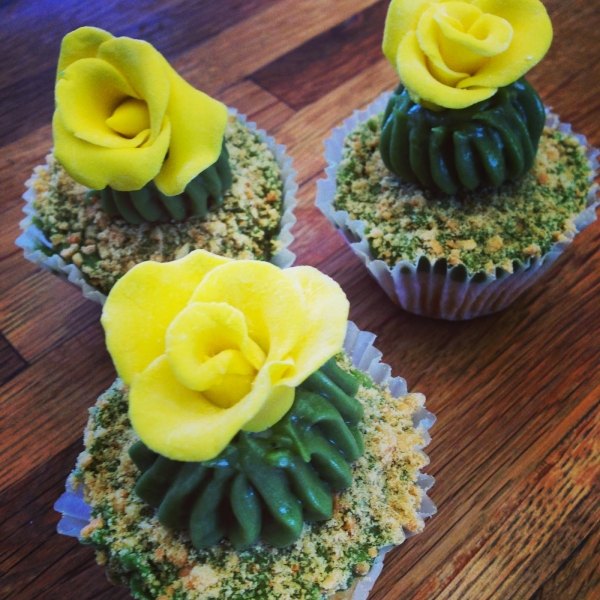 Kaktus so žltými kvietkami kaktusovo rozkvitnuté-žlté-cupcaky-vdolky-nápad