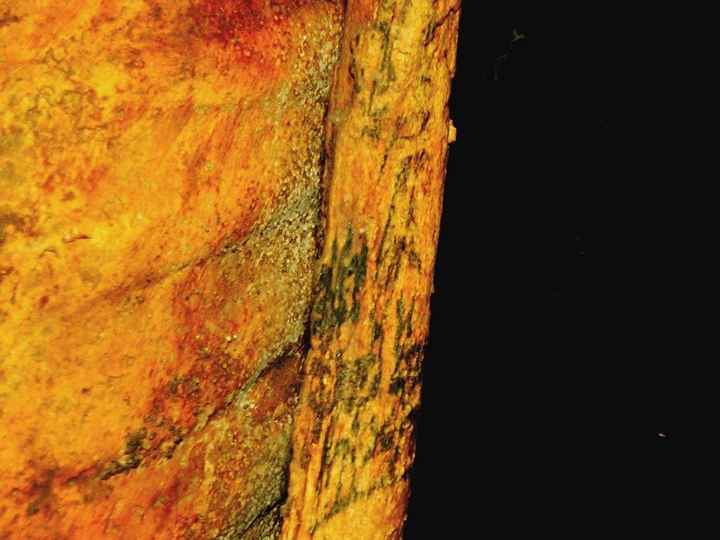 Египетска мумия с мистериозни татуировки озадачи учените - снимка 1