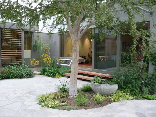 Moderné rastliny na strome poznajú druhy