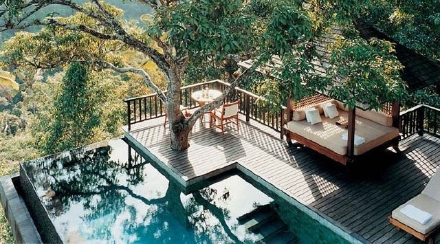 Stromček do záhrady moderný sedací nábytok