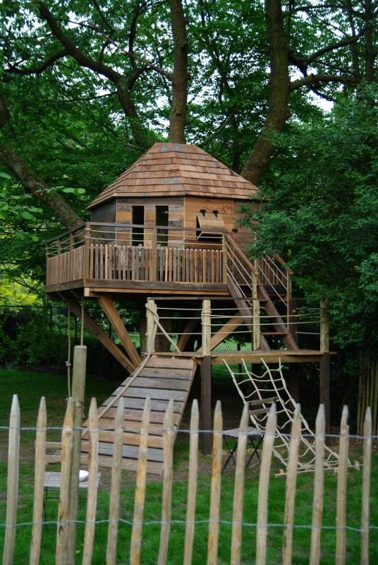 stromový dom materská škola stavať chodúle platforma stromový dom budova záhrada les krajina chodníky platforma