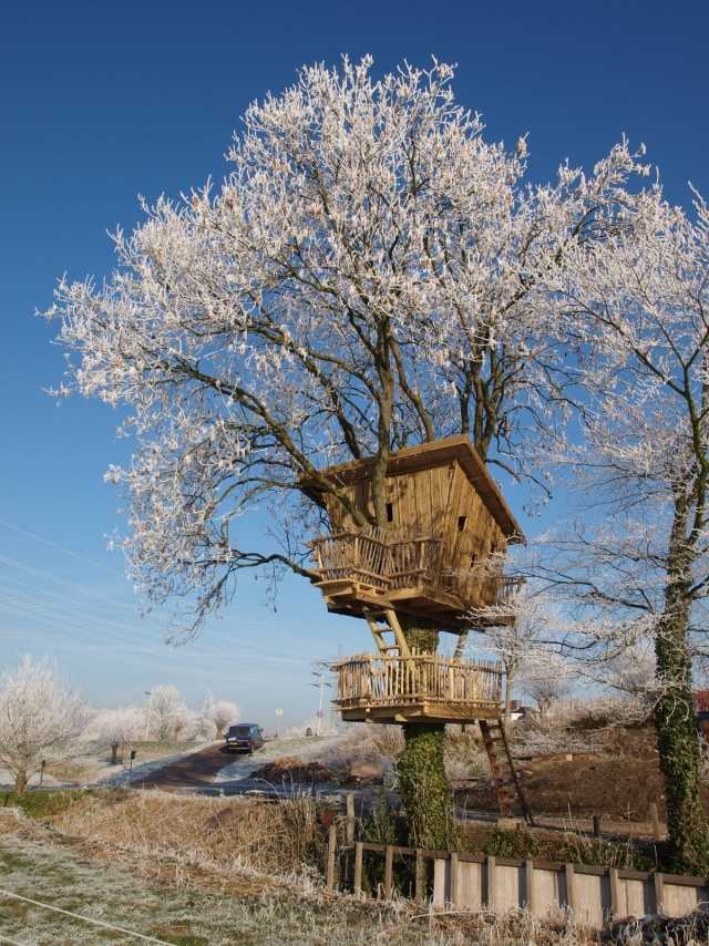 stavba domu na strome sami tipy materiály platforma postaviť dom na strome sami tipy materiály platforma