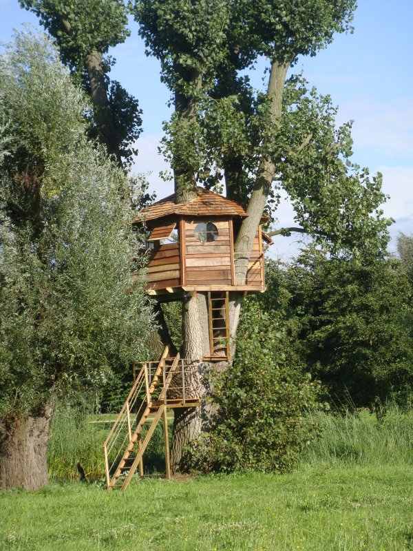 stromový dom záhrada stavať schody okrúhle okno strom dom materská škola postaviť schody okrúhle okno
