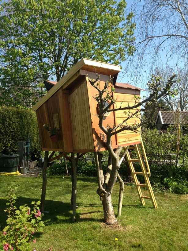 Postavte dom na strome pre škôlku domček z smrekovca dom na strome škôlka stavať hrať dom smrekovec drevo