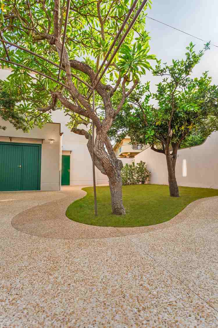 Vytvorte stredomorskú záhradu-kamienkové stromy-trávnik