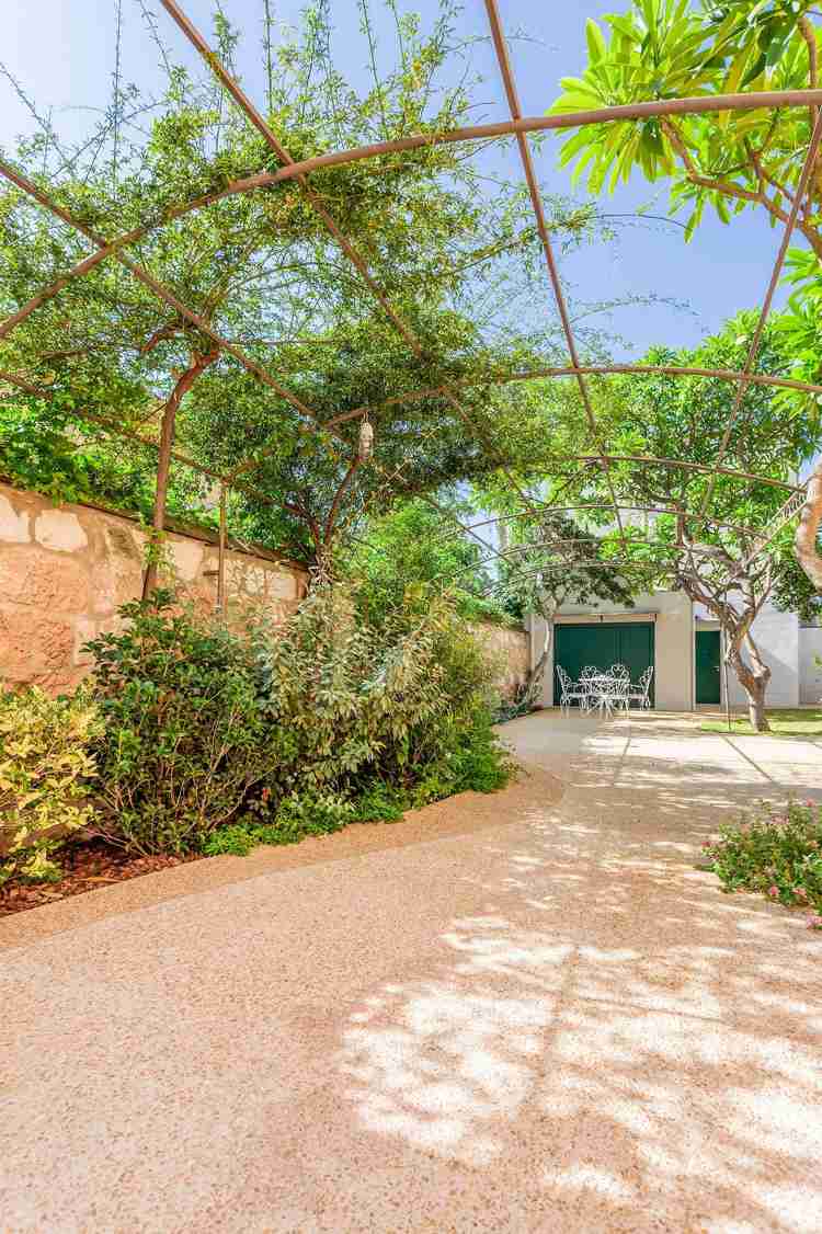 Stredomorský záhradný dizajn-štrkové kríky-rastliny