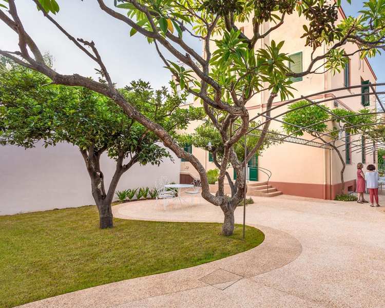 stredozemný-záhradný-strom-trávnik-sedací-priestor-biely-nábytok