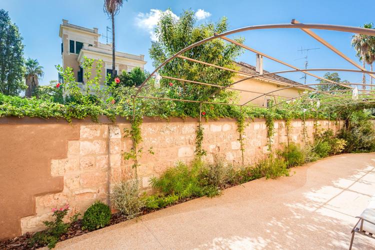 rastliny stredomorskej záhrady-dizajn-steny-tehly-popínavé rastliny