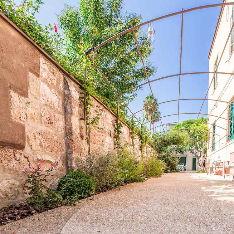 Stredomorský záhradný dizajn-stena-štrk-popínavé rastliny-kovová pergola