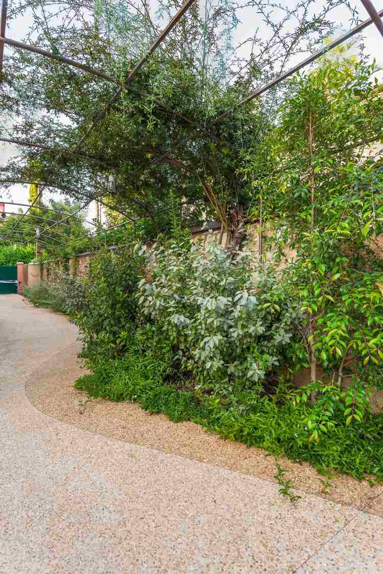 stredomorská záhrada-dizajn-rastliny-kríky-pergola