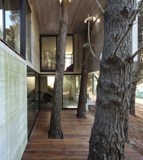 moderný prázdninový dom zo skla a borovicového dreva