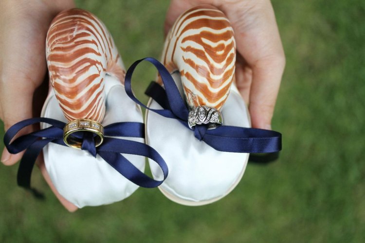 prsten-vankúš-svadba-mušľa-morský slimák-mini-modrá-stuha-námorná