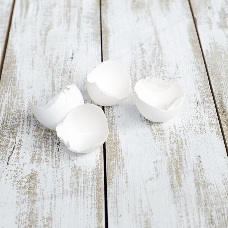 schoener-záhrada-vápnik-vaječná škrupina-bluetenendfaeule-ochrana