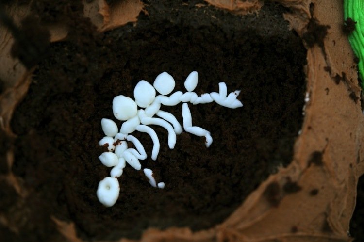 formy na dinosaurie koláče čokoládové marshmallow fondantové fussil formy